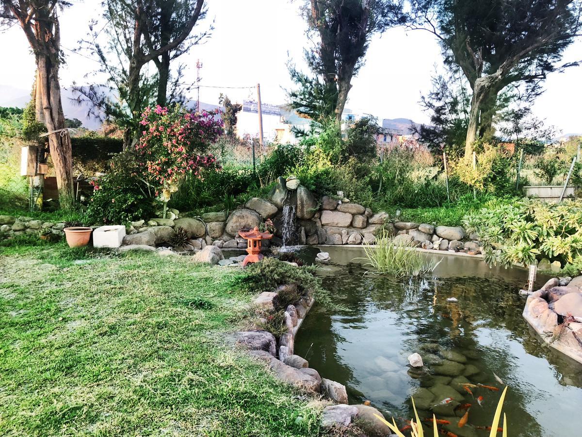 צ'צ'נג Pisces Garden B&B מראה חיצוני תמונה