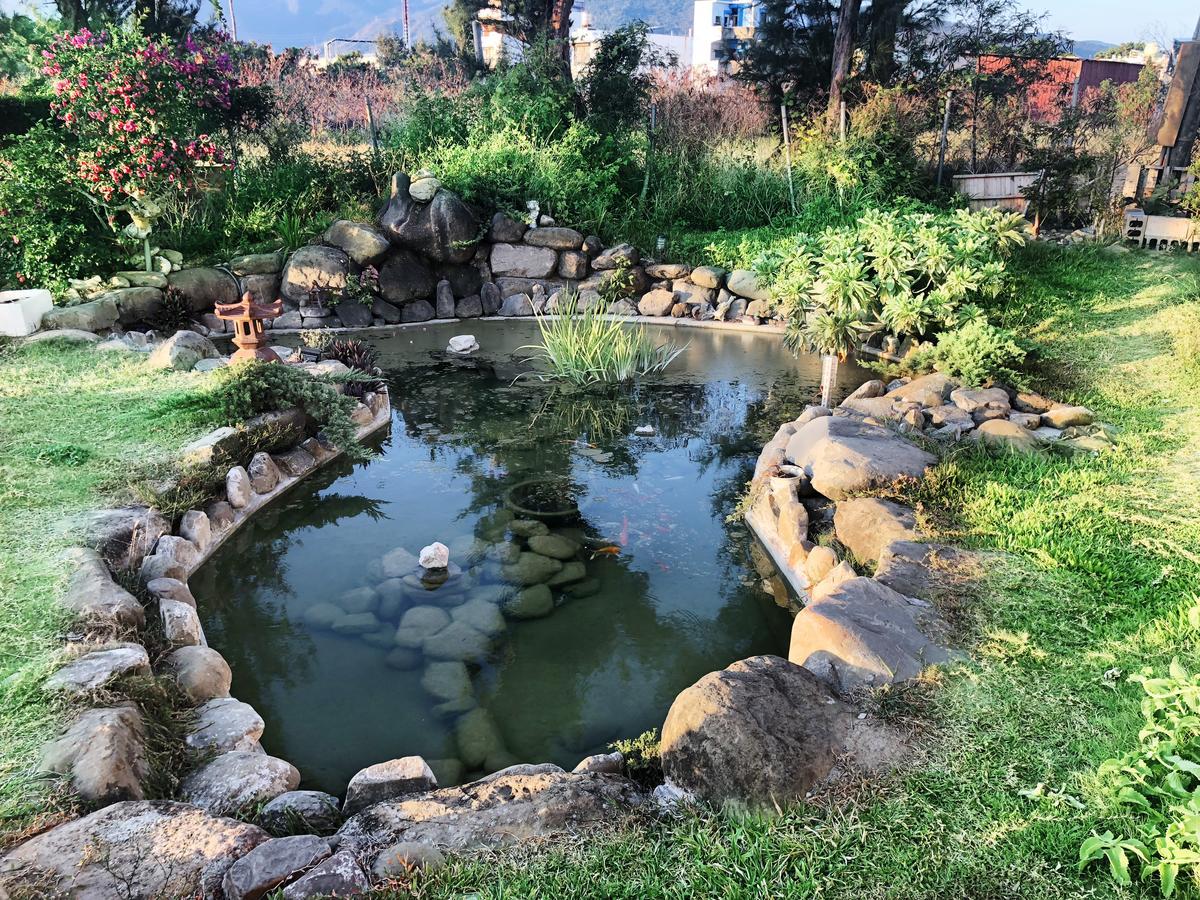 צ'צ'נג Pisces Garden B&B מראה חיצוני תמונה