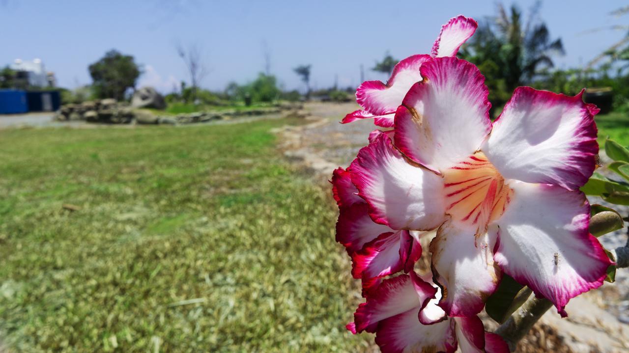 צ'צ'נג Pisces Garden B&B מראה חיצוני תמונה